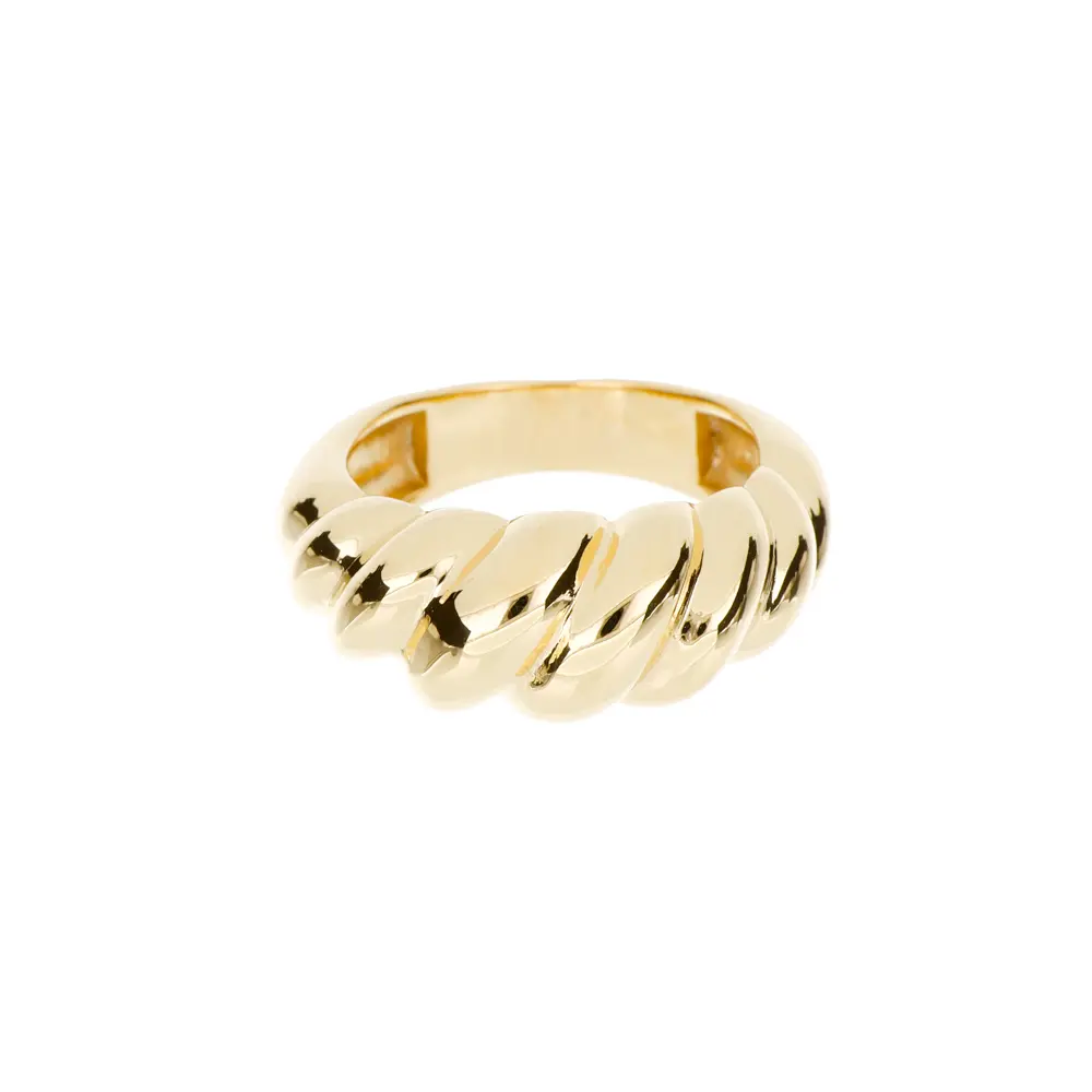 2006 Anillo Concha