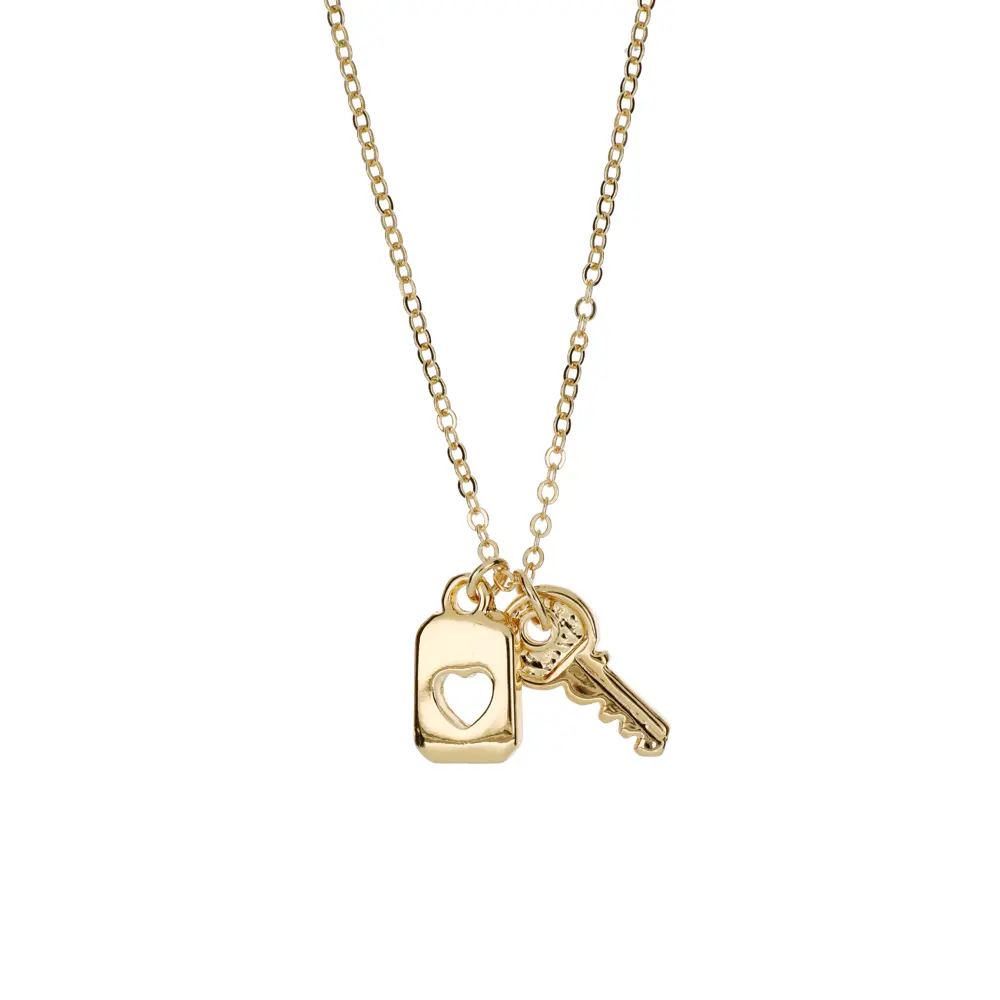 9083 Collar Placa Y Llave 45 Cm