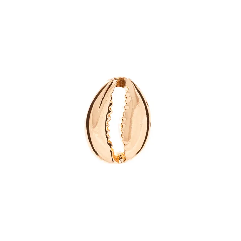 5313356 Dije Concha Cowrie