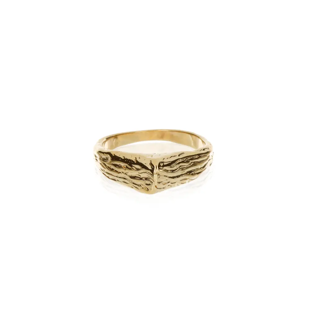 2020 Anillo Tierra Dorada 