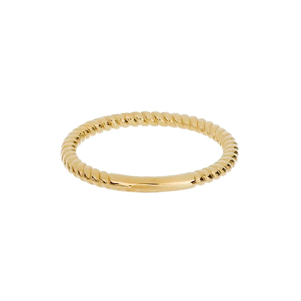 2000 Anillo Torsal