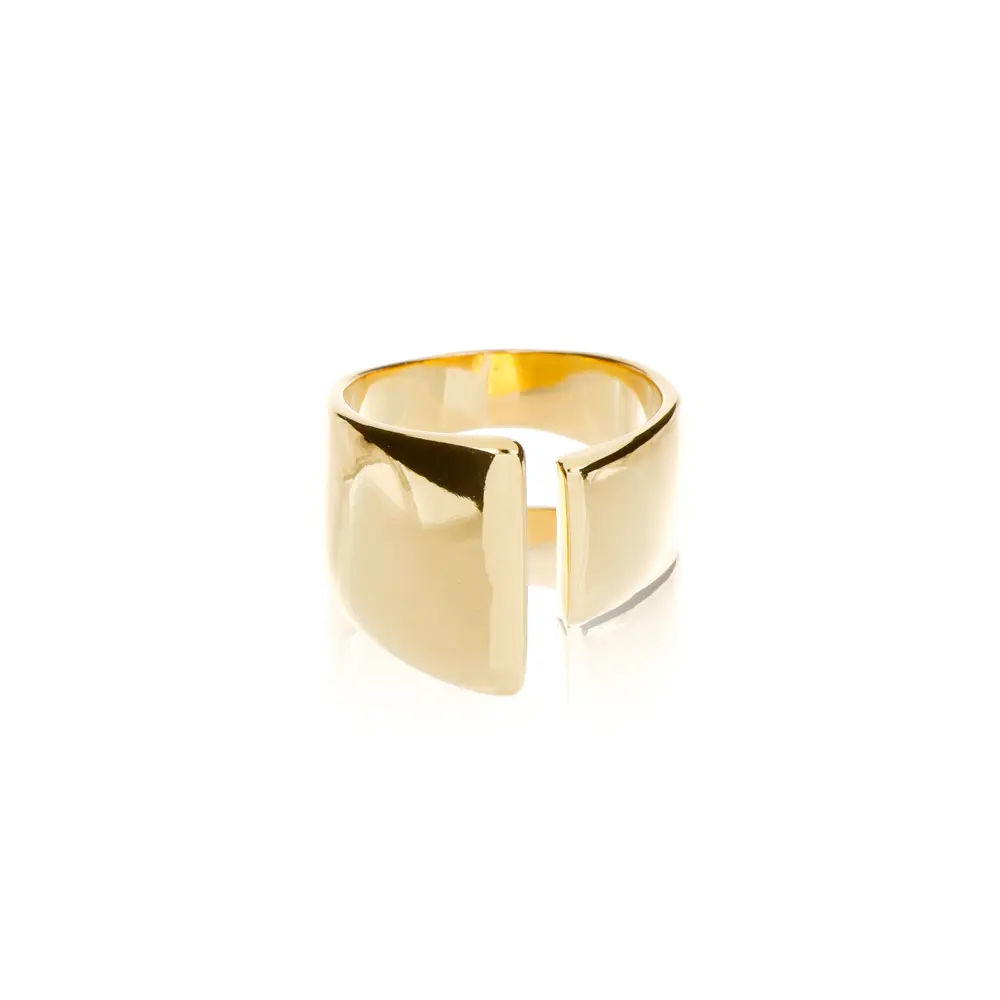 2019 Anillo Aura
