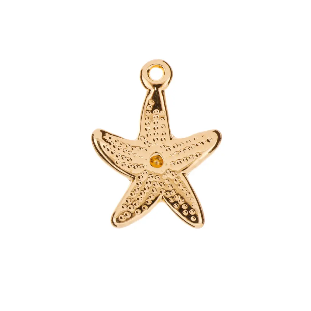 5313598 Dije Estrella Marina