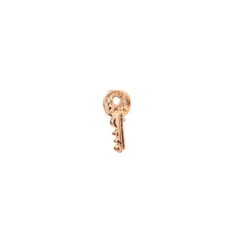 [53132521] 53132851 Dije Llave 1 Pz