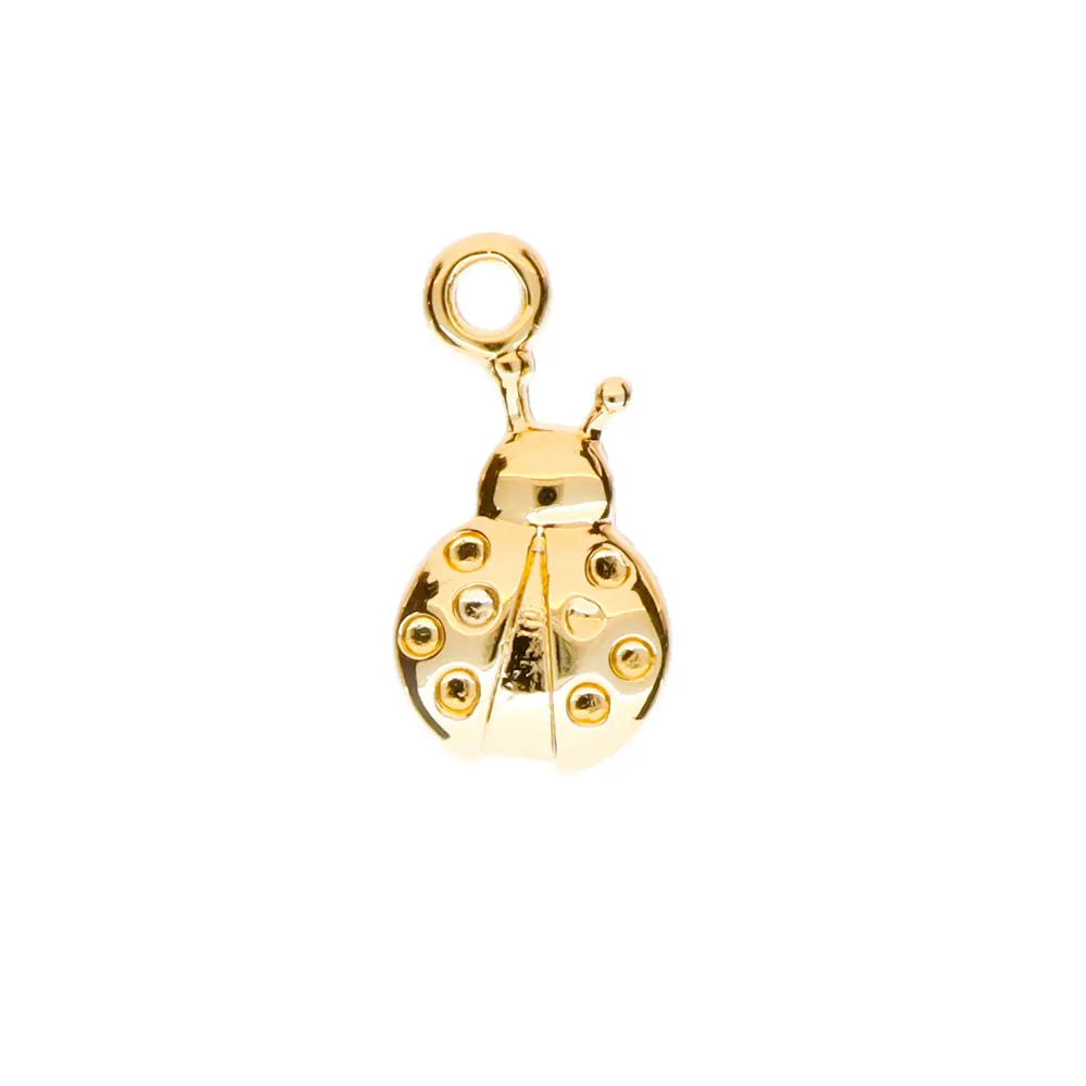 5313613 Dije Catarina