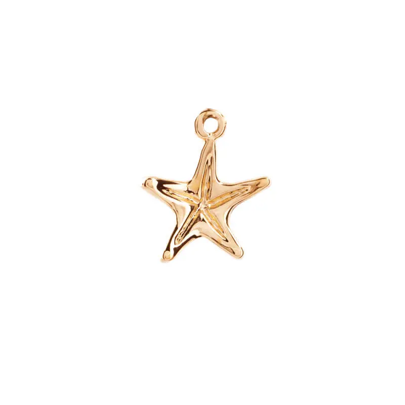 5313262 Dije Estrella De Mar 