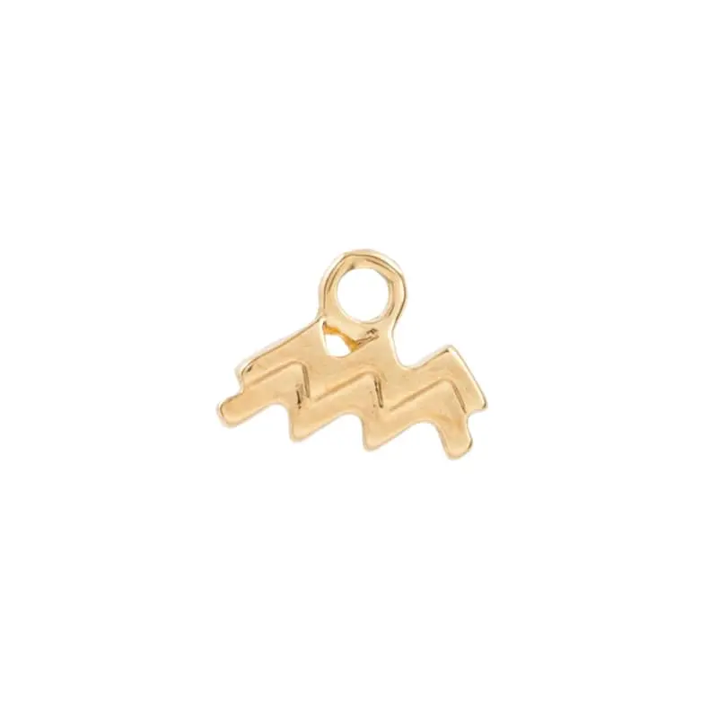 5313434 Signo Acuario 2 Pz