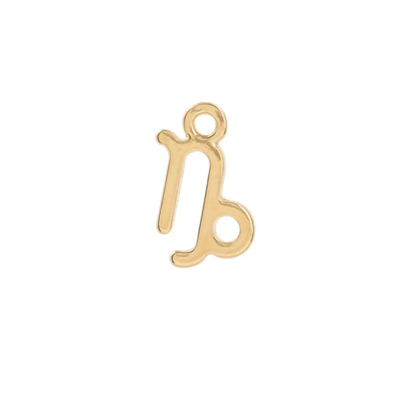 5313445 Signo Capricornio 2 Pz
