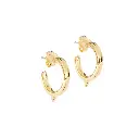 3143 Arracada Con Pico