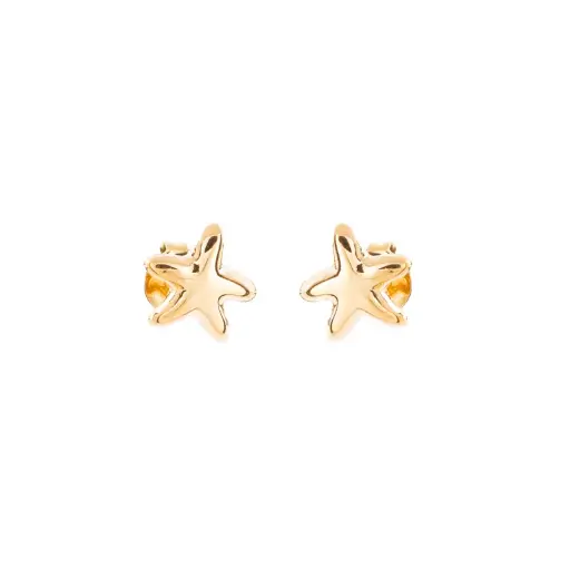 [3927] 3927 Broquel Estrella Del Mar