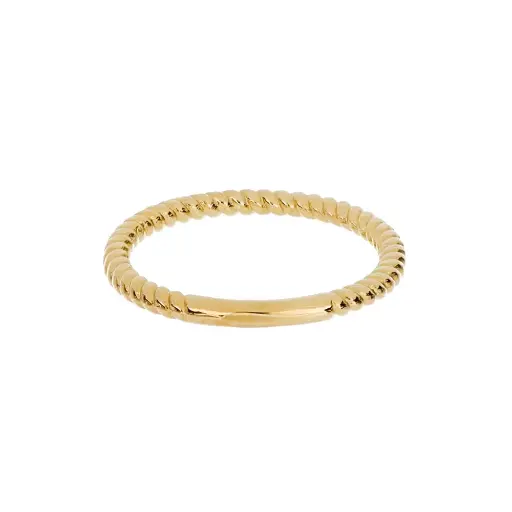 2000 Anillo Torsal