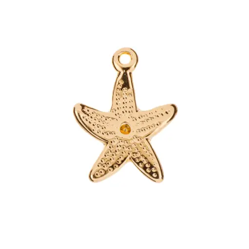 [5313598] 5313598 Dije Estrella Marina