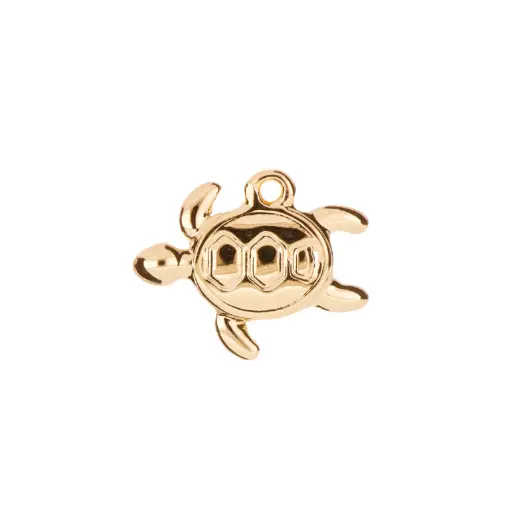 [5313599] 5313599 Dije Tortuga Marina 