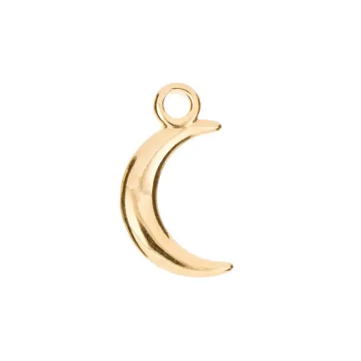 [5313603] 5313603 Dije Luna Menguante Ch. 