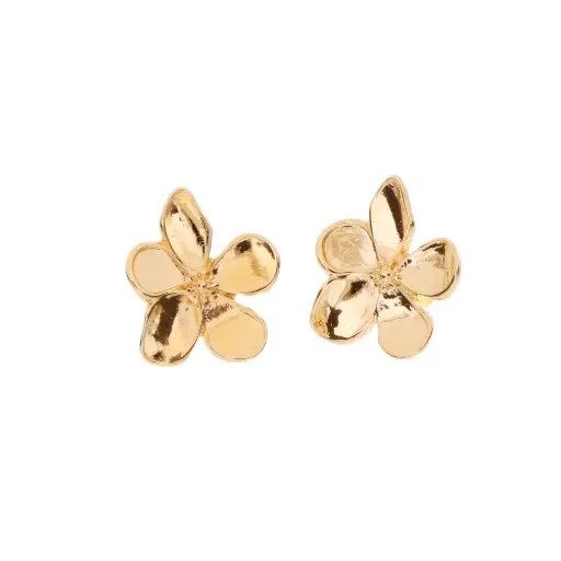 [4038] 4038 Broquel Flora