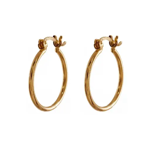 [36061] 36061 Arracada Lisa #6 1 Par