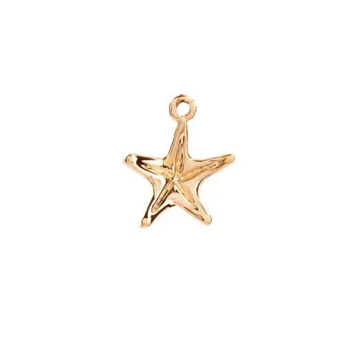 [5313262] 5313262 Dije Estrella De Mar 