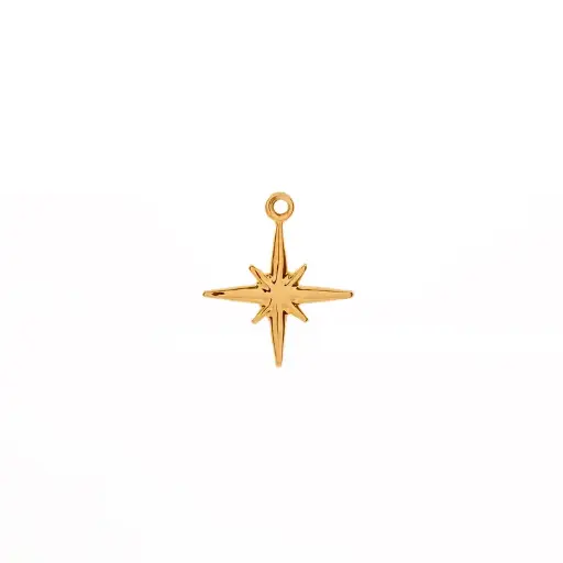 [5313343] 5313343 Dije Estrella Del Norte 2 Pz