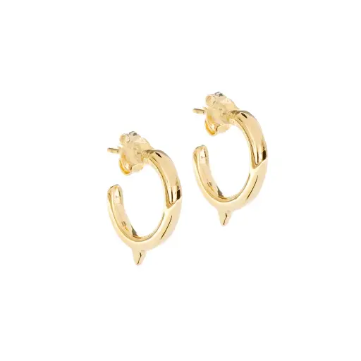 [3143] 3143 Arracada Con Pico